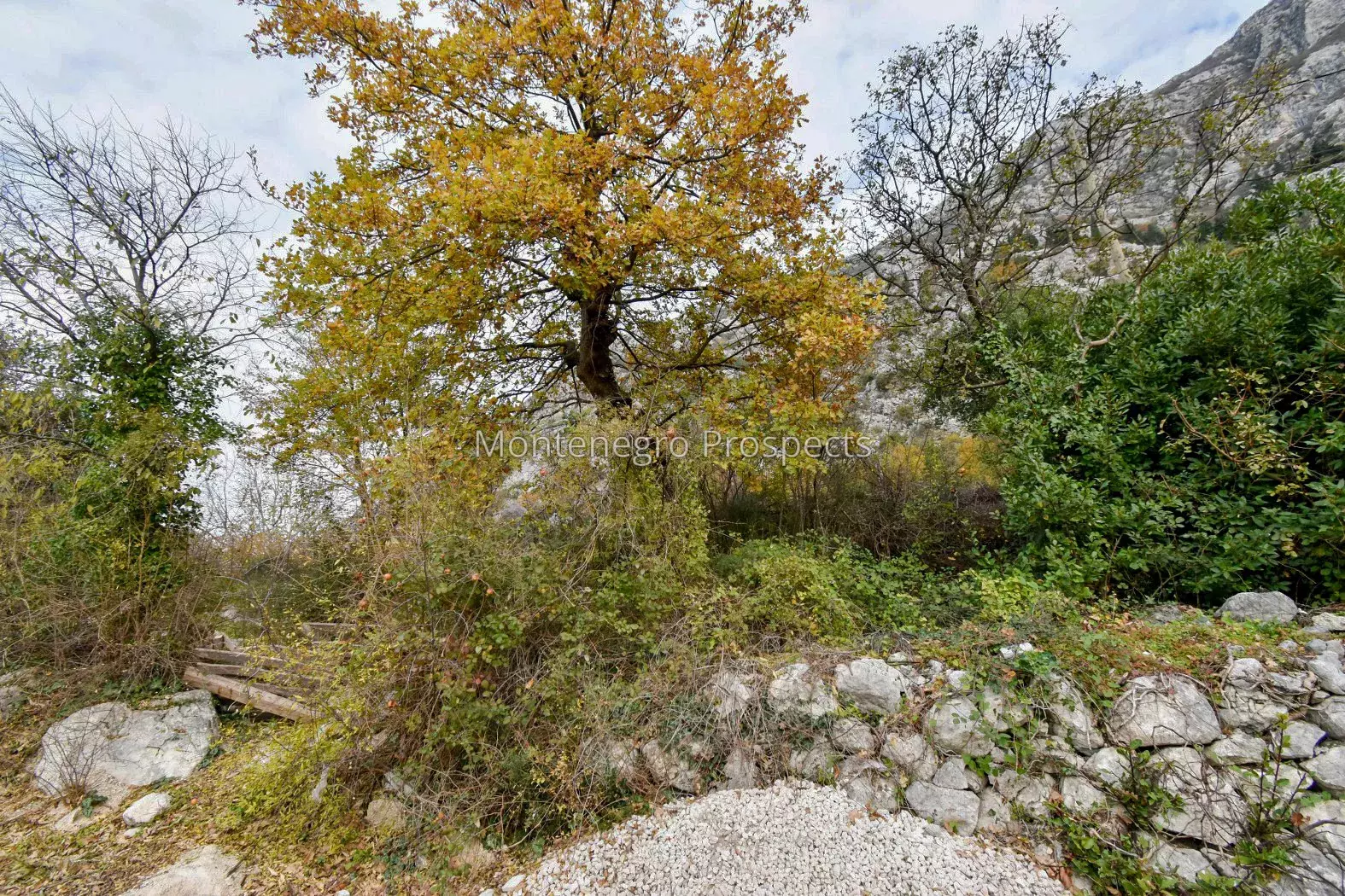 Plot for sale 13435 1.jpg