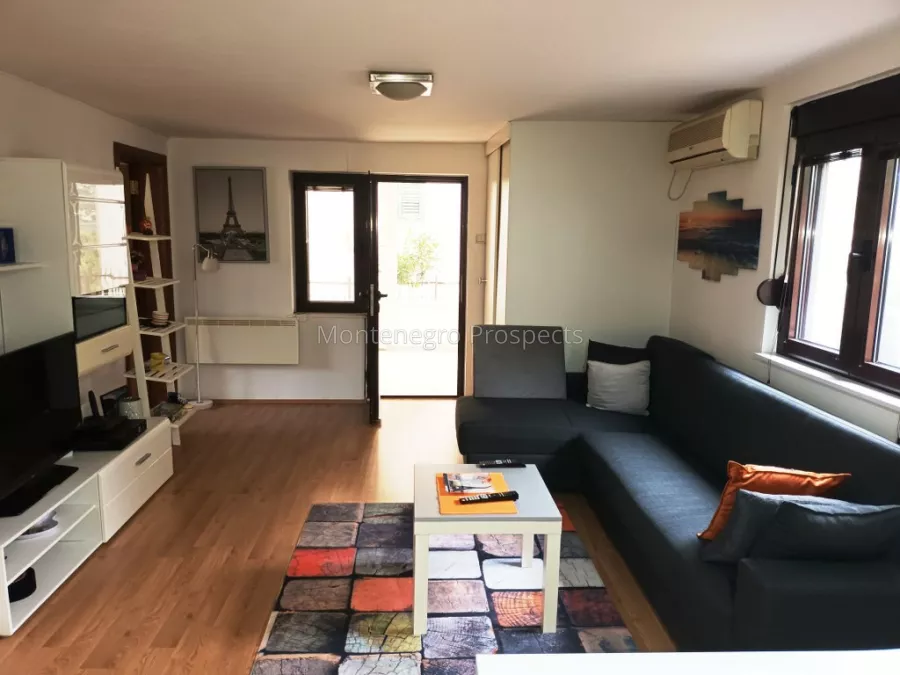 Spacious two bedroom apartment prcanj 13539 10