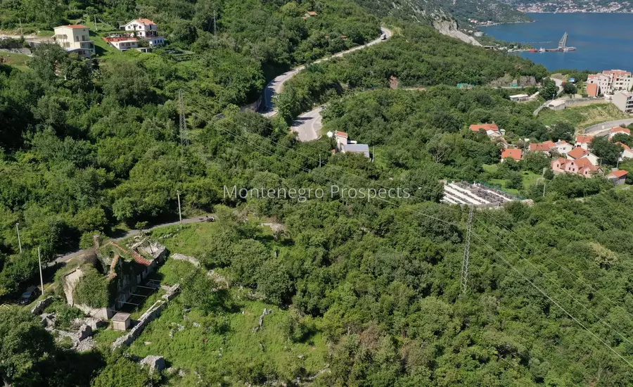 14148 morinj project 5.jpg