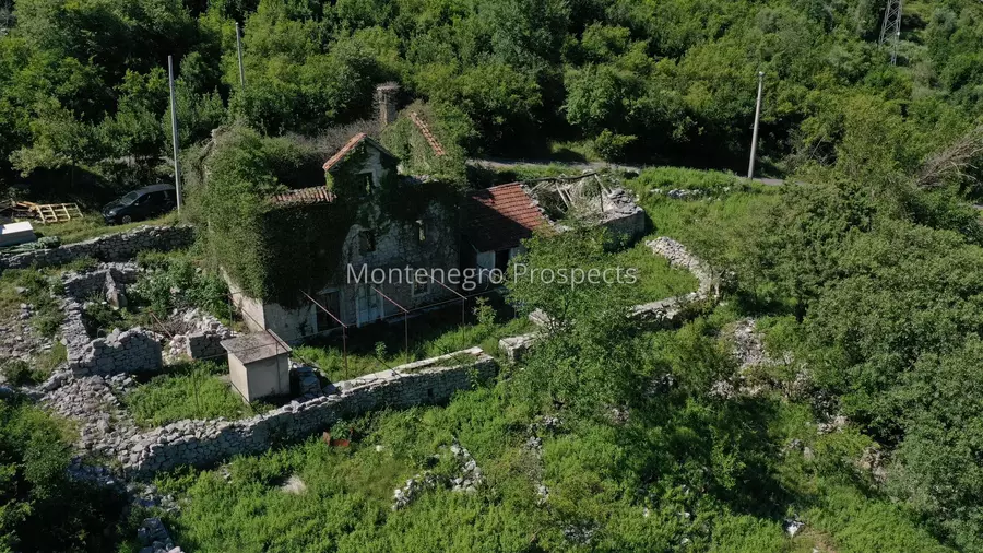14148 morinj project 9.jpg