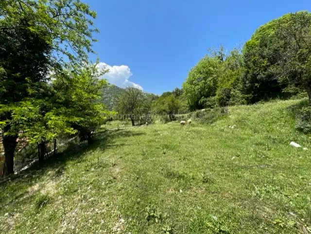 14072 risan plot with perfect views 8